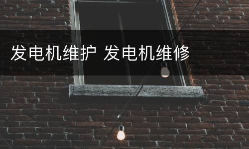 发电机维护 发电机维修