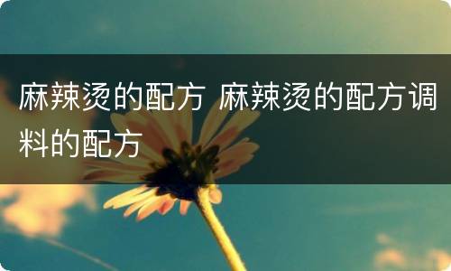 麻辣烫的配方 麻辣烫的配方调料的配方