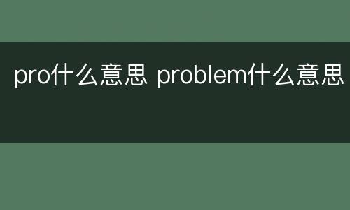 pro什么意思 problem什么意思