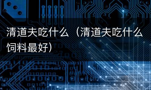 清道夫吃什么（清道夫吃什么饲料最好）