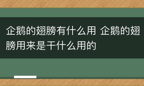企鹅的翅膀有什么用 企鹅的翅膀用来是干什么用的