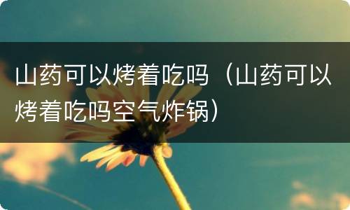 山药可以烤着吃吗（山药可以烤着吃吗空气炸锅）