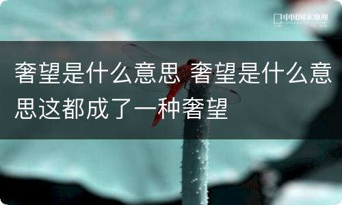 奢望是什么意思 奢望是什么意思这都成了一种奢望