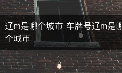 辽m是哪个城市 车牌号辽m是哪个城市