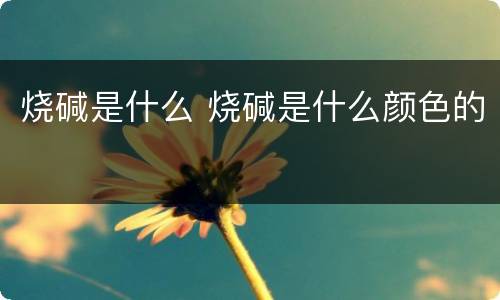 烧碱是什么 烧碱是什么颜色的