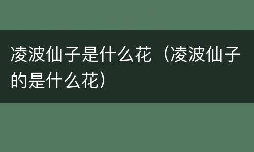 凌波仙子是什么花（凌波仙子的是什么花）