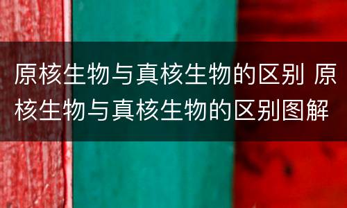 原核生物与真核生物的区别 原核生物与真核生物的区别图解简图