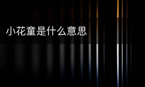 小花童是什么意思