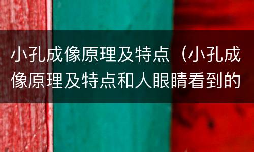 小孔成像原理及特点（小孔成像原理及特点和人眼睛看到的是正的）