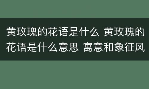 黄玫瑰的花语是什么 黄玫瑰的花语是什么意思 寓意和象征风水