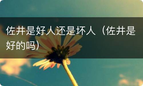 佐井是好人还是坏人（佐井是好的吗）