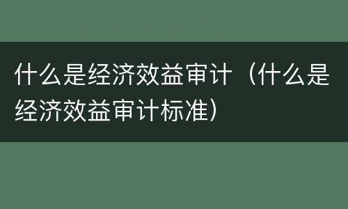 什么是经济效益审计（什么是经济效益审计标准）