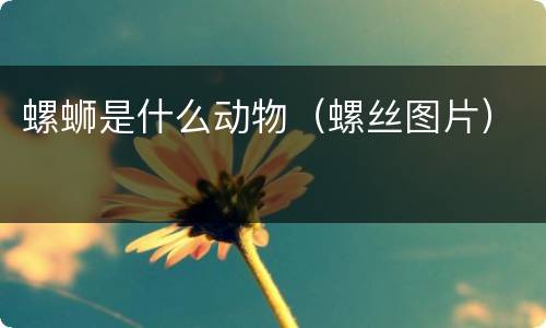 螺蛳是什么动物（螺丝图片）