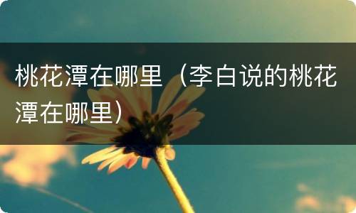 桃花潭在哪里（李白说的桃花潭在哪里）