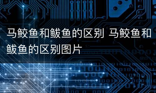 马鲛鱼和鲅鱼的区别 马鲛鱼和鲅鱼的区别图片