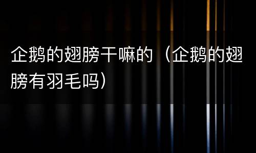 企鹅的翅膀干嘛的（企鹅的翅膀有羽毛吗）