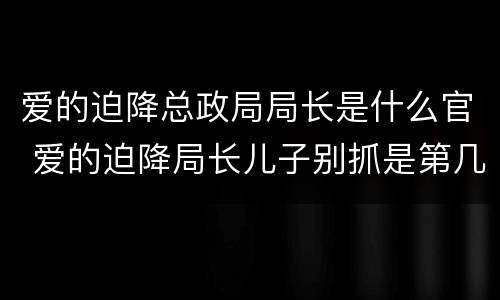 爱的迫降总政局局长是什么官 爱的迫降局长儿子别抓是第几集