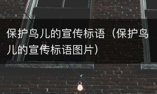 保护鸟儿的宣传标语（保护鸟儿的宣传标语图片）