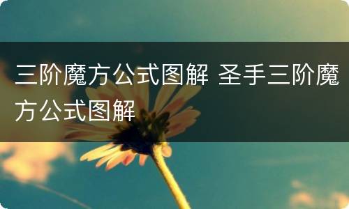 三阶魔方公式图解 圣手三阶魔方公式图解