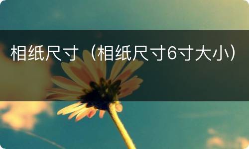相纸尺寸（相纸尺寸6寸大小）