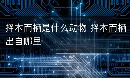 择木而栖是什么动物 择木而栖出自哪里