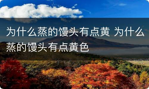 为什么蒸的馒头有点黄 为什么蒸的馒头有点黄色