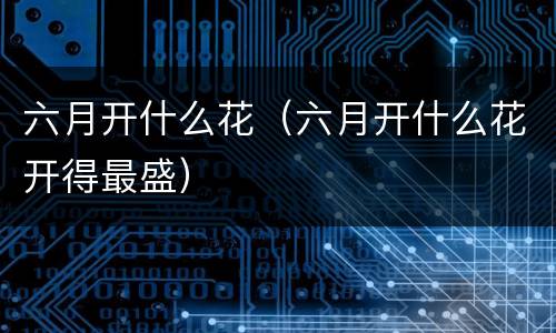 六月开什么花（六月开什么花开得最盛）