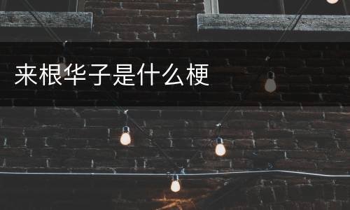 来根华子是什么梗