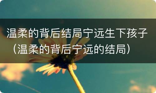 温柔的背后结局宁远生下孩子（温柔的背后宁远的结局）