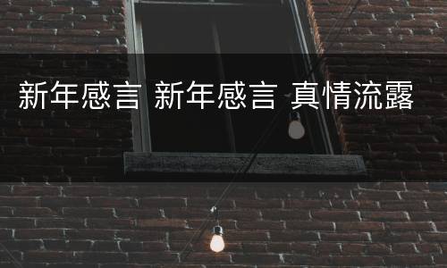 新年感言 新年感言 真情流露