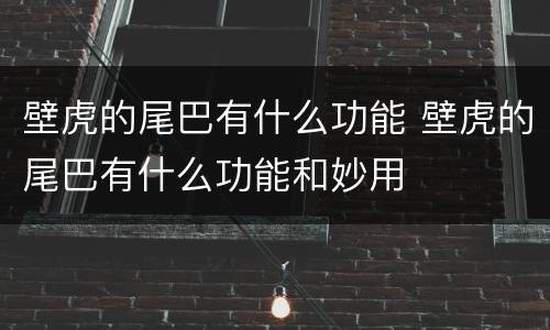 壁虎的尾巴有什么功能 壁虎的尾巴有什么功能和妙用