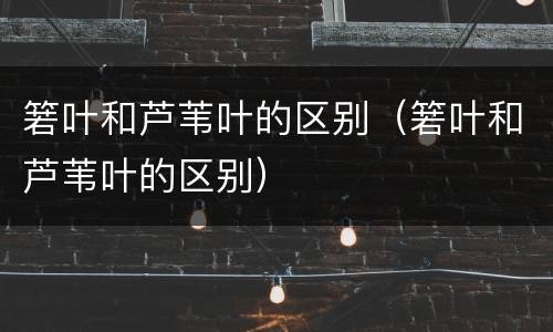 箬叶和芦苇叶的区别（箬叶和芦苇叶的区别）