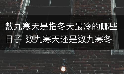 数九寒天是指冬天最冷的哪些日子 数九寒天还是数九寒冬