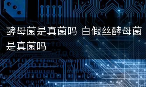 酵母菌是真菌吗 白假丝酵母菌是真菌吗