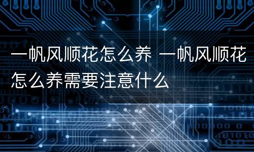 一帆风顺花怎么养 一帆风顺花怎么养需要注意什么