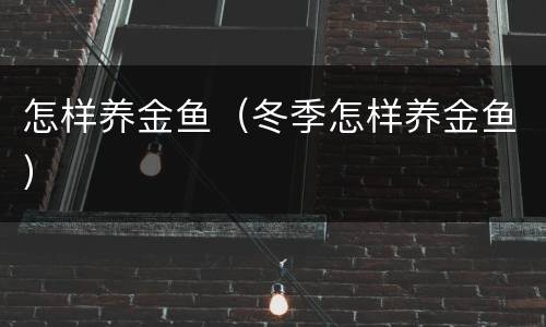 怎样养金鱼（冬季怎样养金鱼）