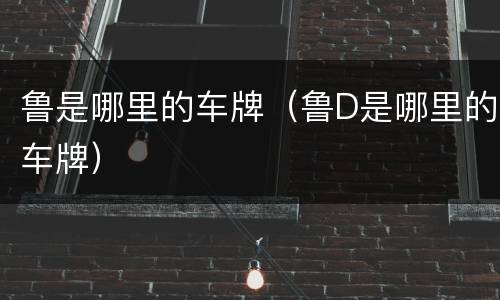 鲁是哪里的车牌（鲁D是哪里的车牌）
