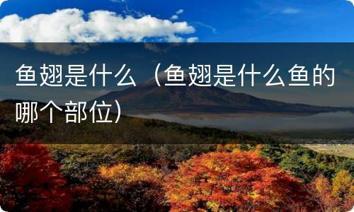 鱼翅是什么（鱼翅是什么鱼的哪个部位）