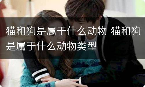 猫和狗是属于什么动物 猫和狗是属于什么动物类型