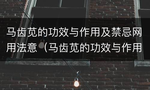 马齿苋的功效与作用及禁忌网用法意（马齿苋的功效与作用 简介 食用方法）