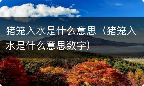 猪笼入水是什么意思（猪笼入水是什么意思数字）