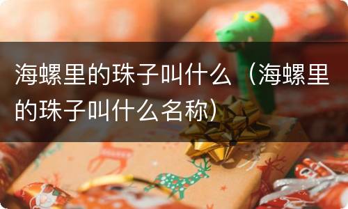 海螺里的珠子叫什么（海螺里的珠子叫什么名称）
