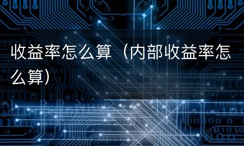 收益率怎么算（内部收益率怎么算）