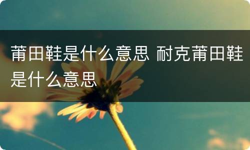 莆田鞋是什么意思 耐克莆田鞋是什么意思