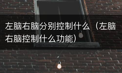 左脑右脑分别控制什么（左脑右脑控制什么功能）