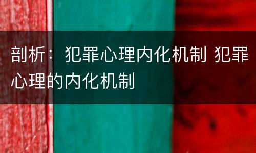 剖析：犯罪心理内化机制 犯罪心理的内化机制