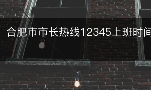 合肥市市长热线12345上班时间