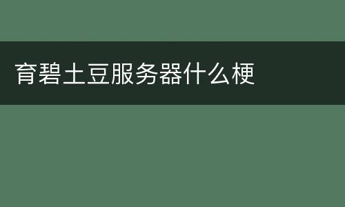育碧土豆服务器什么梗