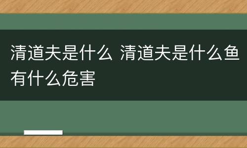 清道夫是什么 清道夫是什么鱼有什么危害