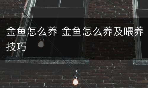 金鱼怎么养 金鱼怎么养及喂养技巧